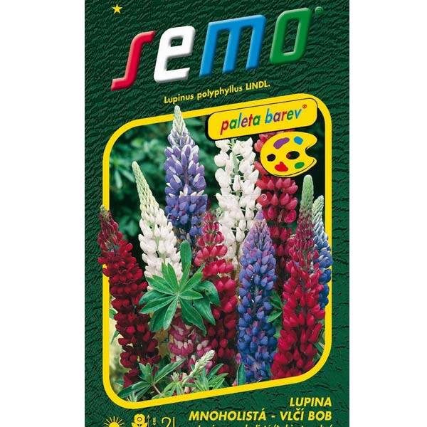 Lupina mnoholistá (Vlčí bob)