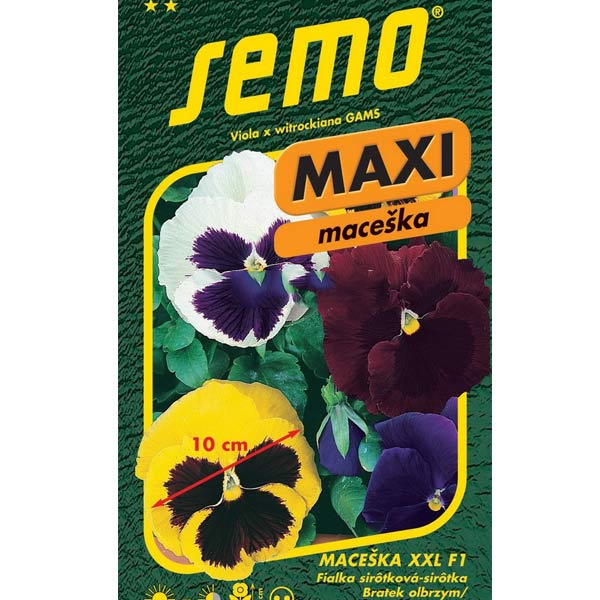 Maceška zahradní velkokvětá