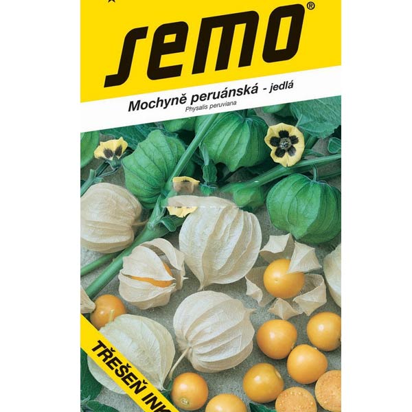 Mochyně peruánská