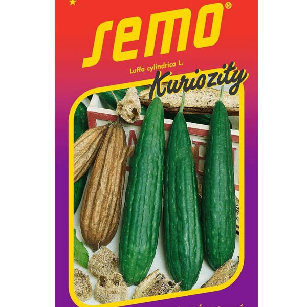 Kuriozity