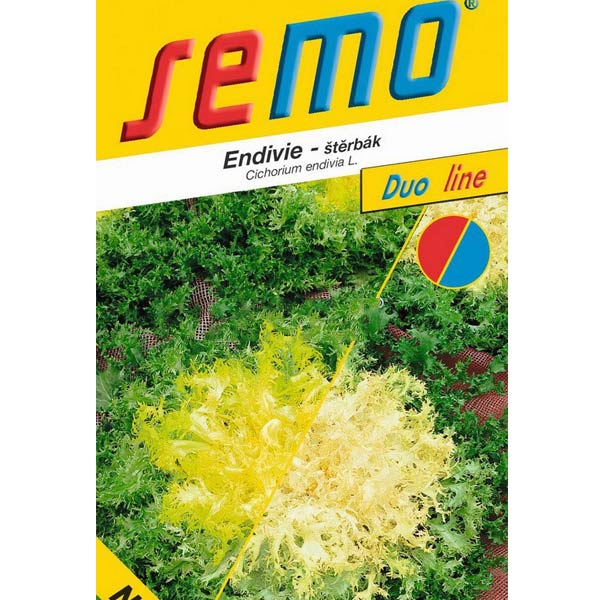 Endivie (štěrbák)