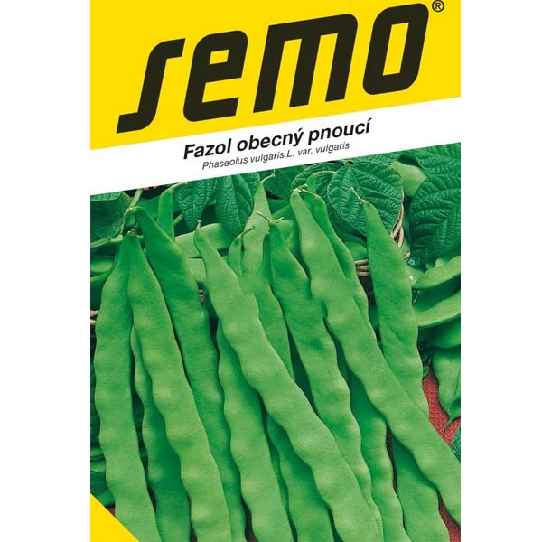 Fazol zahradní pnoucí