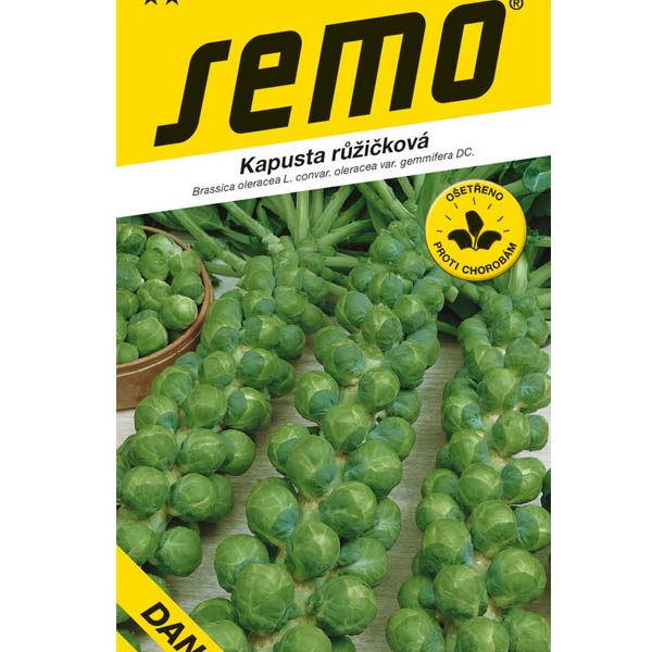 Kapusta růžičková