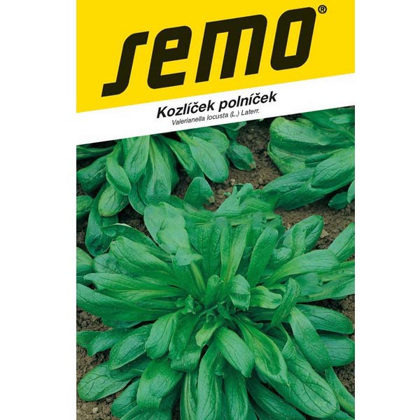 Kozlíček polníček