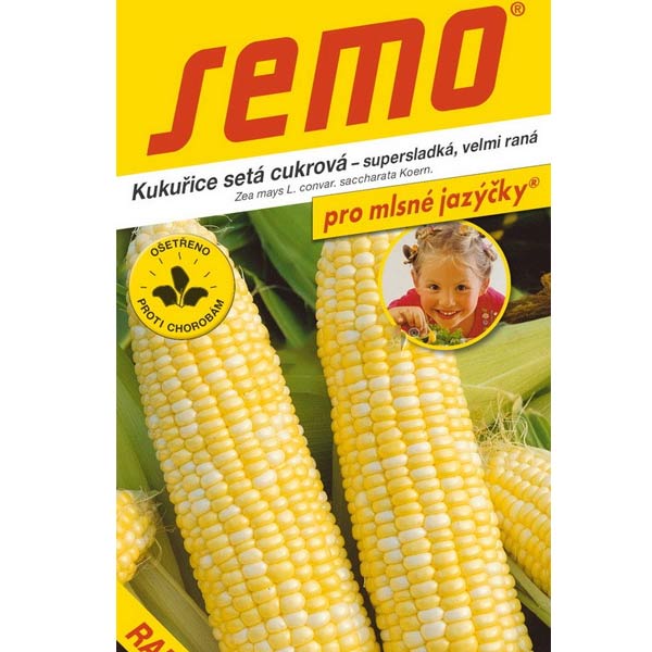 Kukuřice setá cukrová