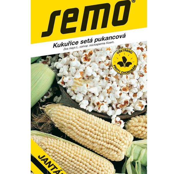 Kukuřice setá pukancová