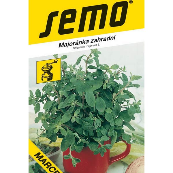Majoránka zahradní