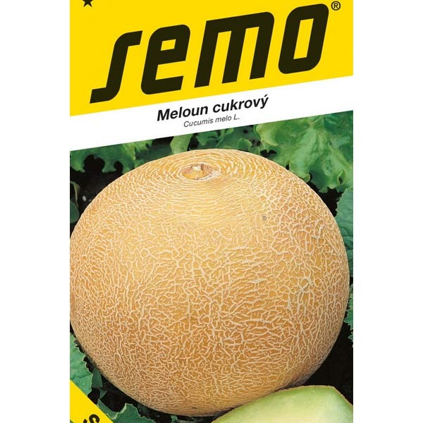 Meloun cukrový