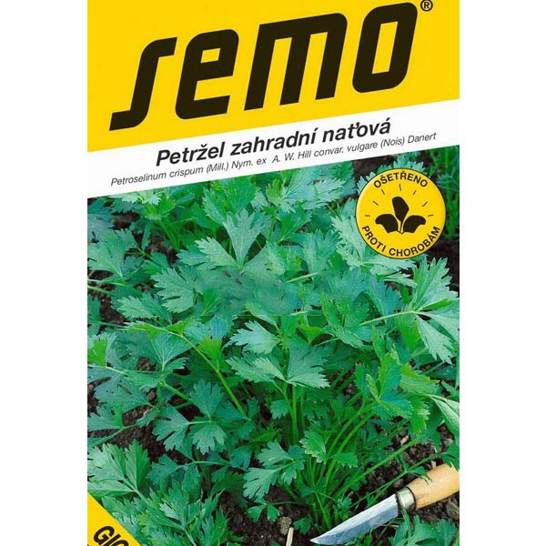 Petržel zahradní