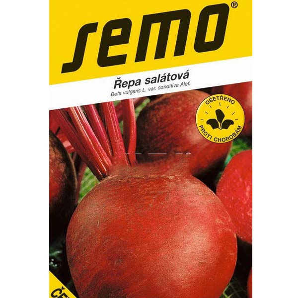 Řepa salátová