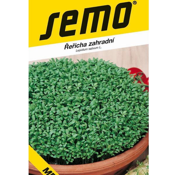 Řeřicha zahradní