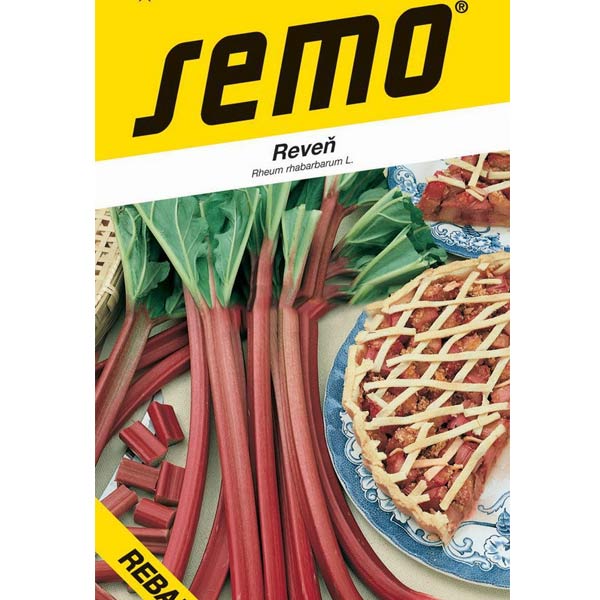 Reveň (Rebarbora)