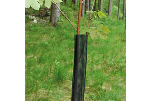 Ochrana na stromky Antiknab pr. 6 cm, výška 110 cm (IT-474442)