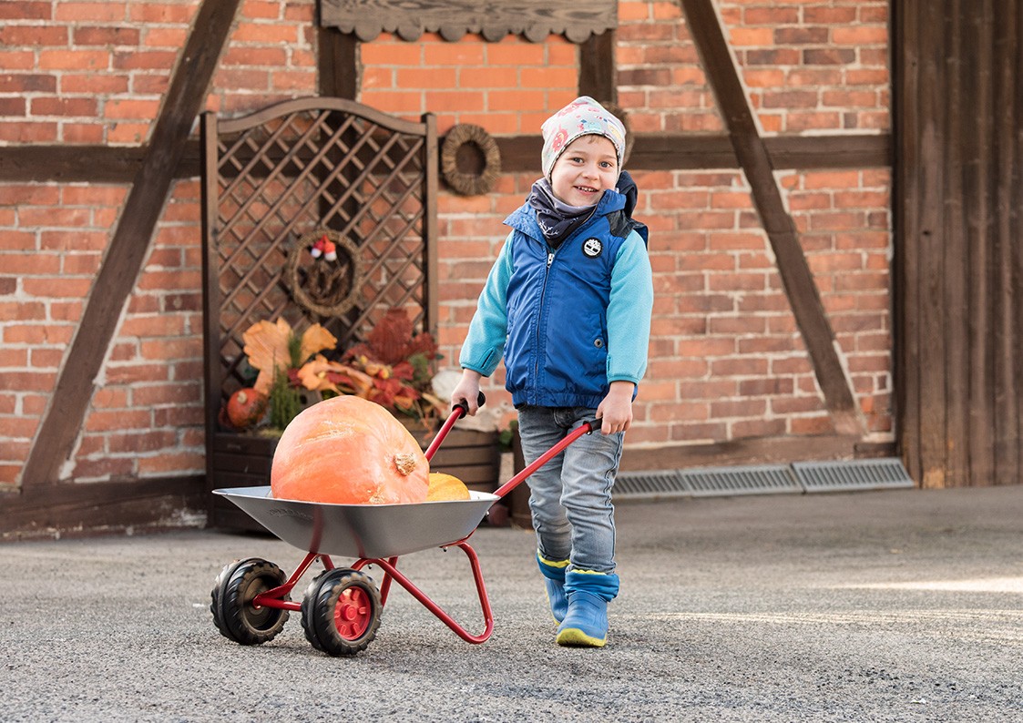 Kovové dětské kolečko se 2 koly Rolly Toys (271849)