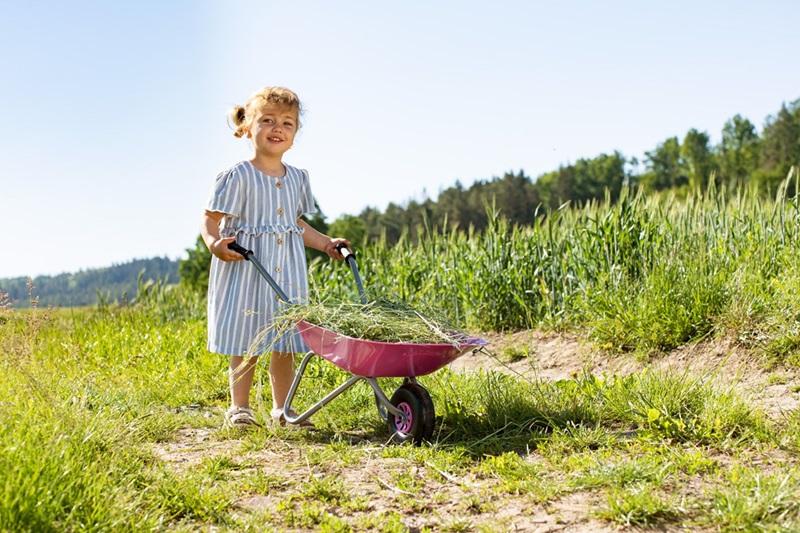 Kovové dětské kolečko růžové Rolly Toys (GT-274802)