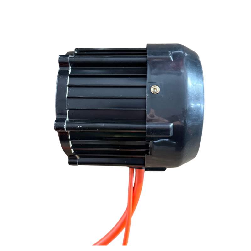 Motor 60V 1000 W SELVO 31000/41000 (A40561)