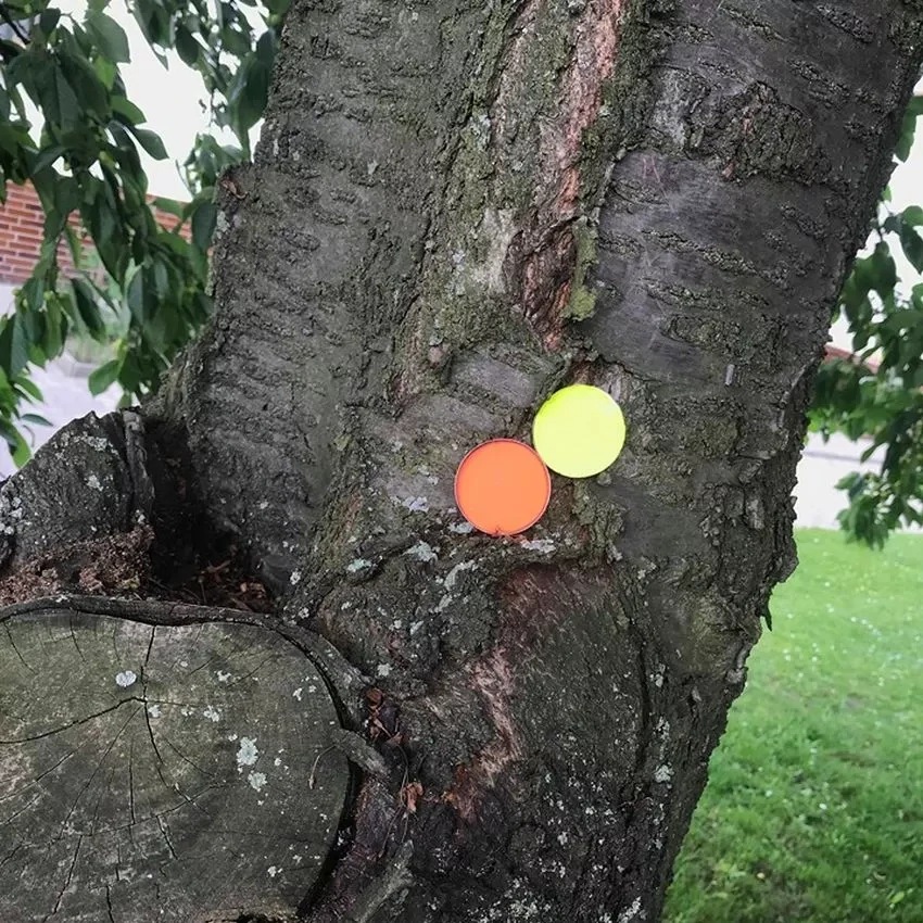 Reaktivní terč BEAST HUNTER 5ks VÝBUŠNÝ