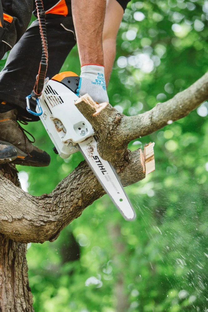 STIHL MS 151 TC-E