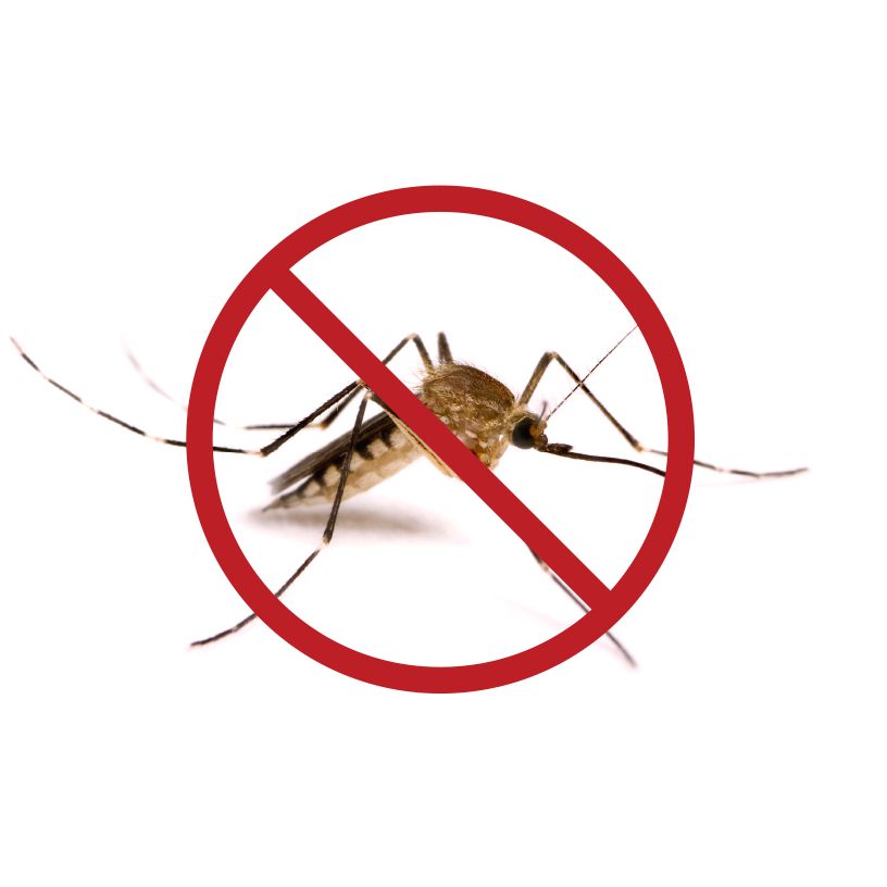 Svíčka Insect repellent Bougie Anti-Moustiques