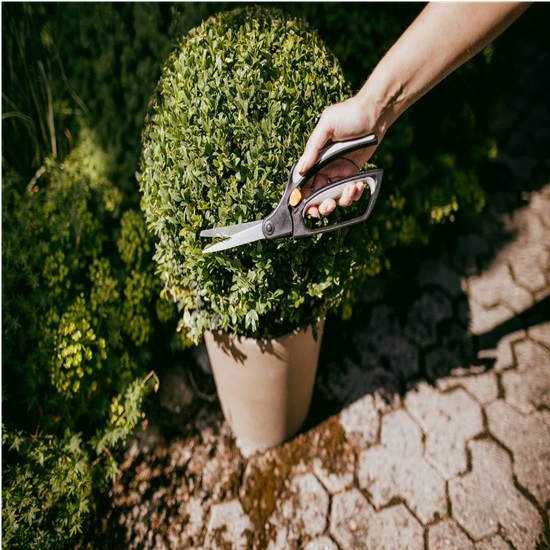 Nůžky na trávu a buxusy Fiskars S50 (1000557)