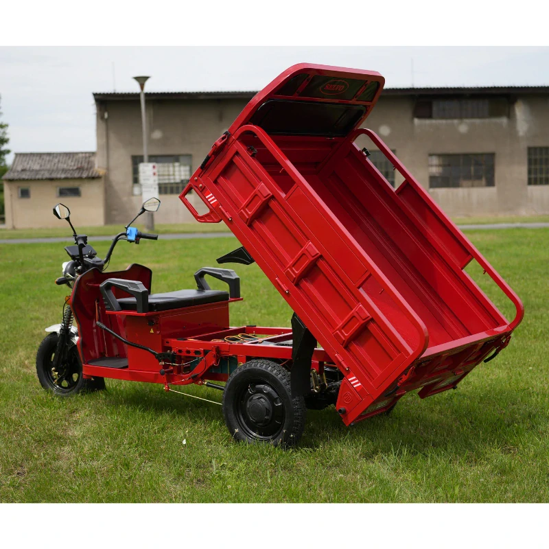 Elektrická nákladní tříkolka Selvo WORK 20L s LiFePO baterií