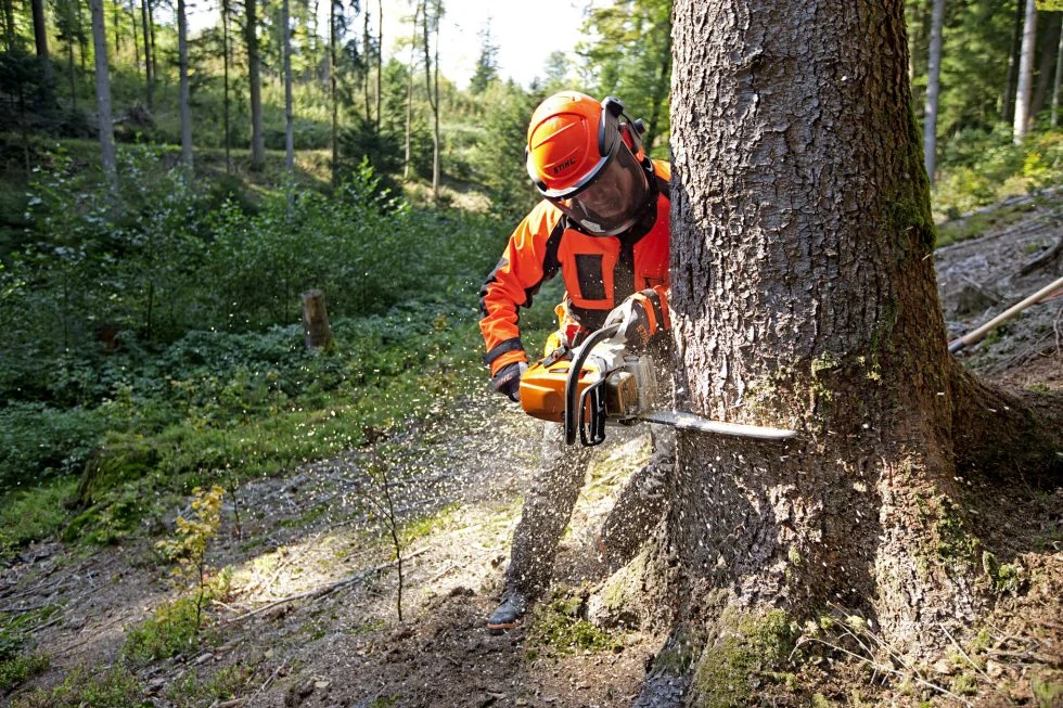 STIHL MS 362