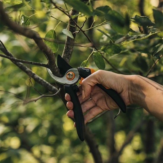 Zahradní nůžky Solid™, dvoučepelové P321 (M) Fiskars (1057162)