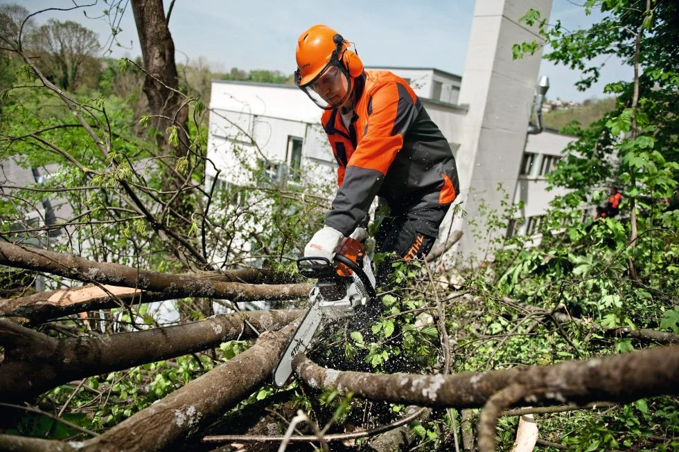 STIHL MS 261