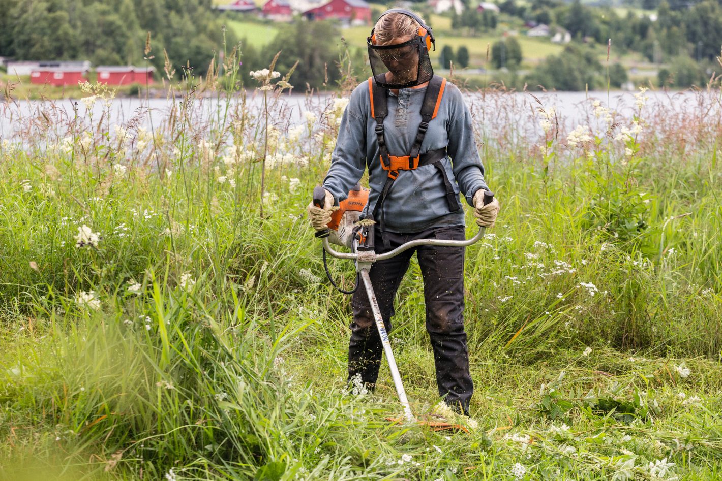 STIHL FS 240