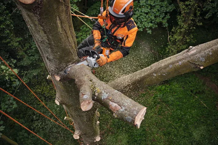 STIHL MSA 220 TC-O
