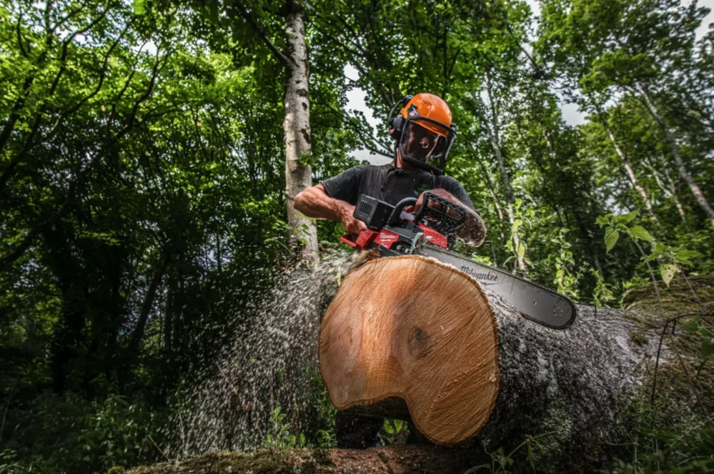 Aku řetězová pila Milwaukee M18 F2CHS50-802, lišta 50 cm, 2x Aku M18 FB8 + M18 DFC (4933480121)