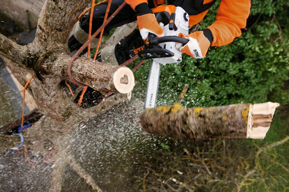 STIHL MS 201 TC-M
