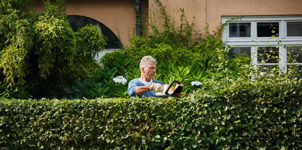 STIHL HSA 45