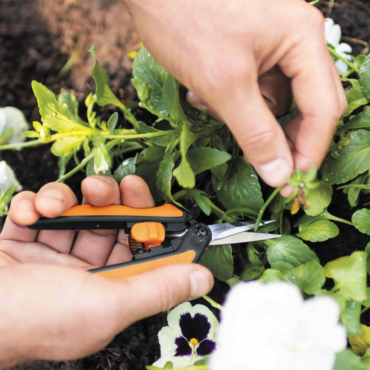 Nůžky prostříhávací špičaté Fiskars Solid™ SP130 (1051600)