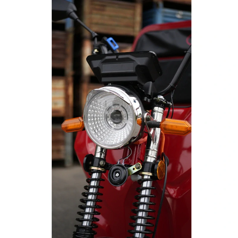 Elektrická nákladní tříkolka Selvo WORK 20L s LiFePO baterií