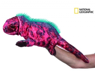 Plyšová hračka National Geographic maňásek Leguán 26 cm