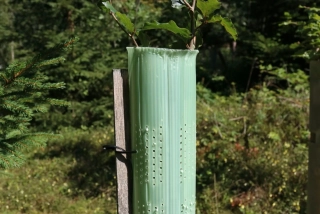 Lesnický tubus 120cm pr. 10cm (IT-47407)