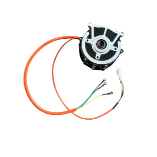 Motor 60V 1000 W SELVO 31000/41000 (A40561)